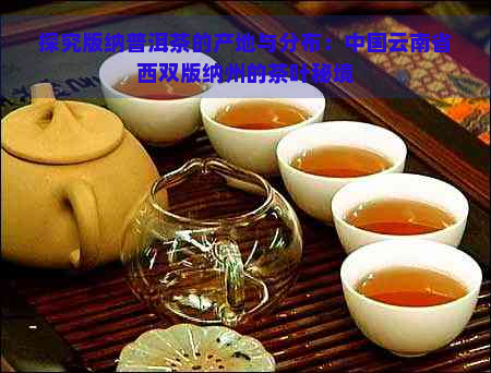探究版纳普洱茶的产地与分布：中国云南省西双版纳州的茶叶秘境
