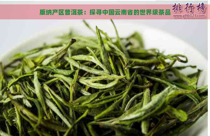 版纳产区普洱茶：探寻中国云南省的世界级茶品