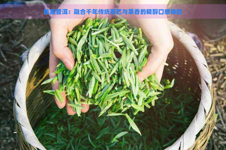 陈皮普洱：融合千年传统茶艺与果香的精醇口感体验