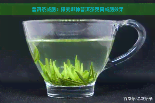 普洱茶减肥：探究哪种普洱茶更具减肥效果