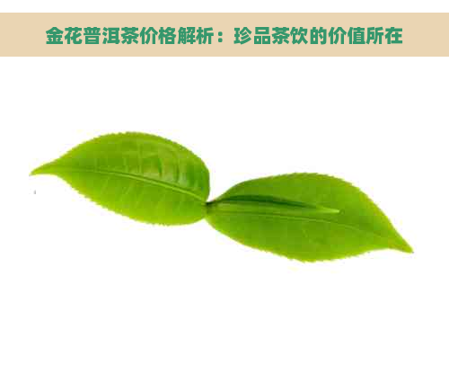 金花普洱茶价格解析：珍品茶饮的价值所在