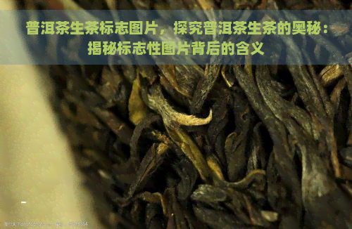 普洱茶生茶标志图片，探究普洱茶生茶的奥秘：揭秘标志性图片背后的含义