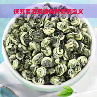 探究普洱茶编码背后的含义