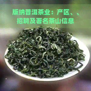 版纳普洱茶业：产区、、招聘及著名茶山信息