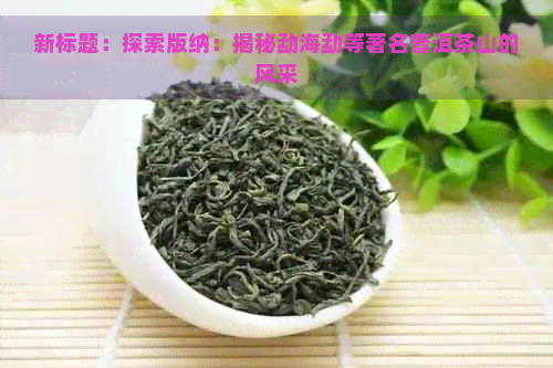 新标题：探索版纳：揭秘勐海勐等著名普洱茶山的风采