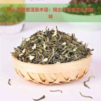 深入解析普洱茶术语：喝出千年茶文化的韵味