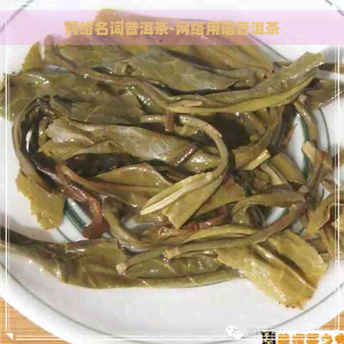 网络名词普洱茶-网络用语普洱茶