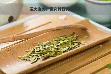 王大海大：探究其行为与关联