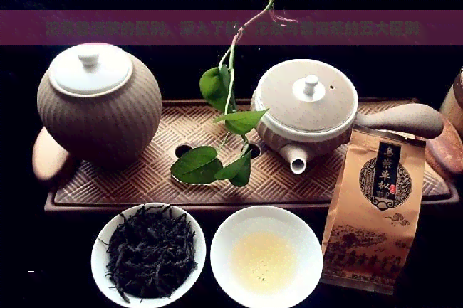 沱茶普洱茶的区别，深入了解：沱茶与普洱茶的五大区别