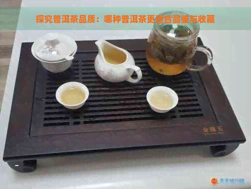 探究普洱茶品质：哪种普洱茶更适合品鉴与收藏