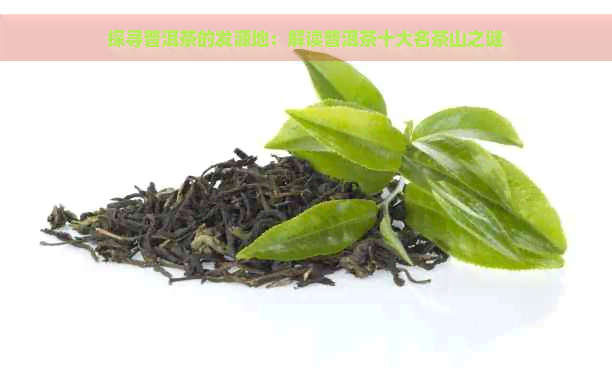 探寻普洱茶的发源地：解读普洱茶十大名茶山之谜