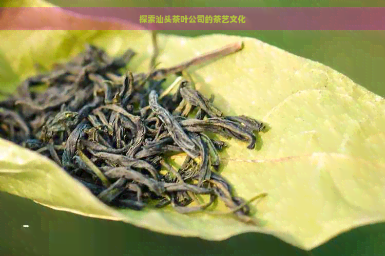 探索汕头茶叶公司的茶艺文化