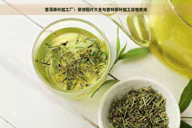 普洱茶叶加工厂：茶饼图片大全与普特茶叶加工详情查询