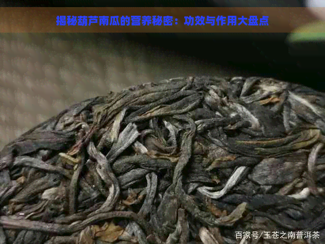 揭秘葫芦南瓜的营养秘密：功效与作用大盘点