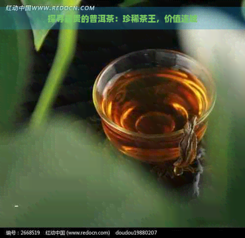 探寻最贵的普洱茶：珍稀茶王，价值连城