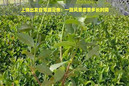 上饶出发自驾游云南：一路风景需要多长时间