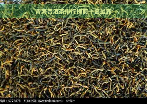 青海普洱茶排行榜前十名最新
