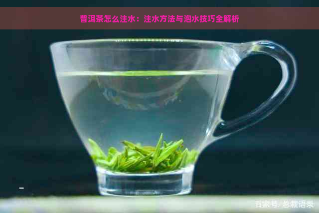普洱茶怎么注水：注水方法与泡水技巧全解析