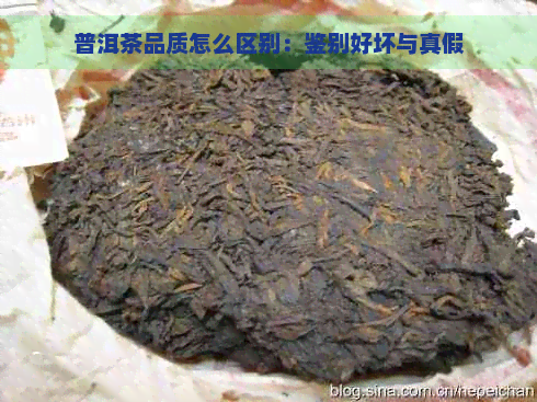 普洱茶品质怎么区别：鉴别好坏与真假