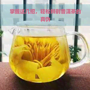 掌握这几招，轻松辨别普洱茶的真伪