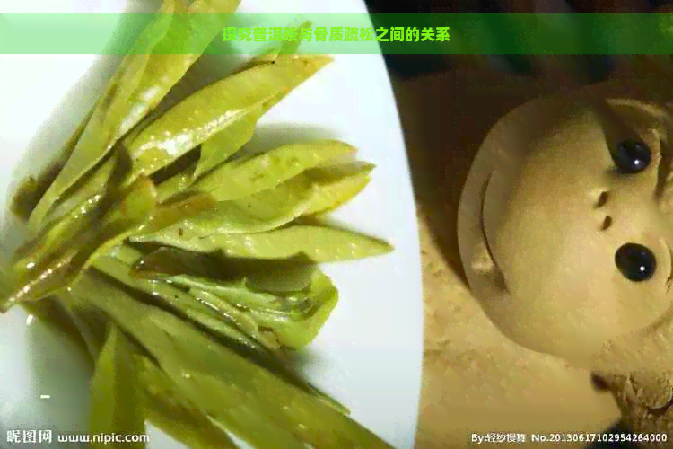 探究普洱茶与骨质疏松之间的关系