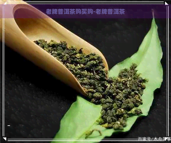 老牌普洱茶购买购-老牌普洱茶