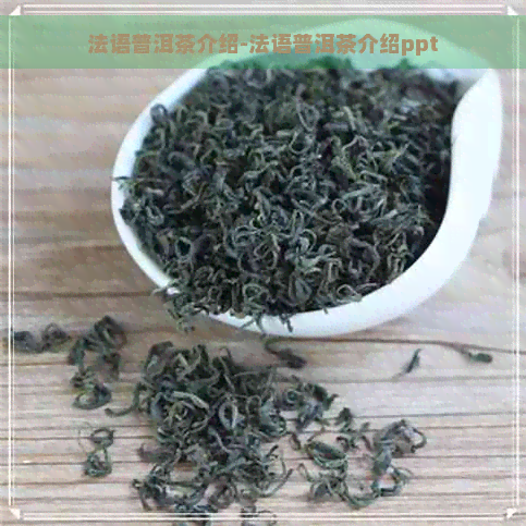 法语普洱茶介绍-法语普洱茶介绍ppt