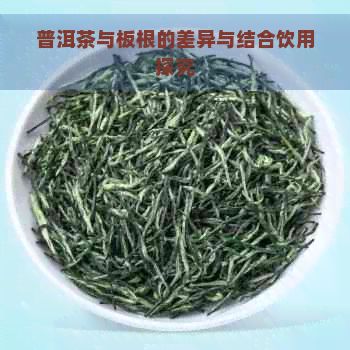 普洱茶与板根的差异与结合饮用探究