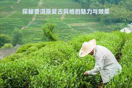 探秘普洱茶复古风格的魅力与效果