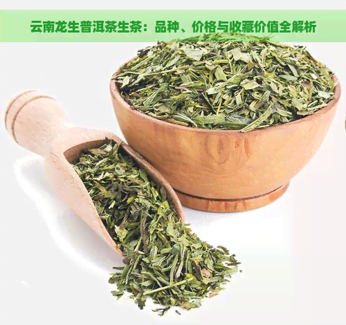 云南龙生普洱茶生茶：品种、价格与收藏价值全解析