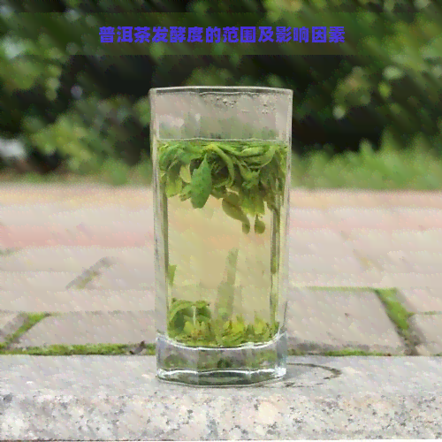 普洱茶发酵度的范围及影响因素