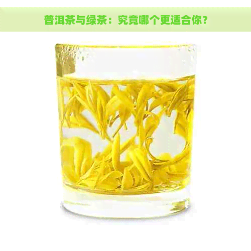 普洱茶与绿茶：究竟哪个更适合你？