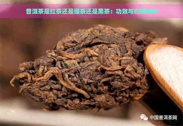 普洱茶是红茶还是绿茶还是黑茶：功效与归属解析