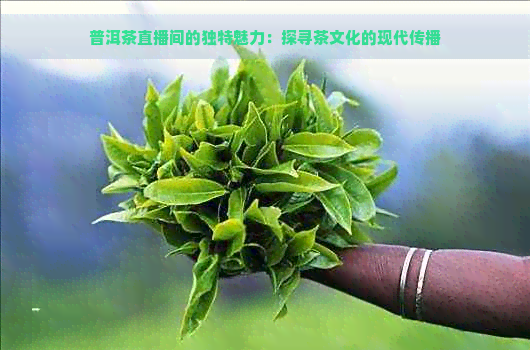 普洱茶直播间的独特魅力：探寻茶文化的现代传播