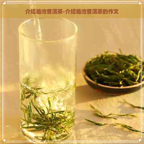 介绍临沧普洱茶-介绍临沧普洱茶的作文