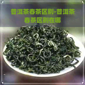 普洱茶春茶区别-普洱茶春茶区别在哪