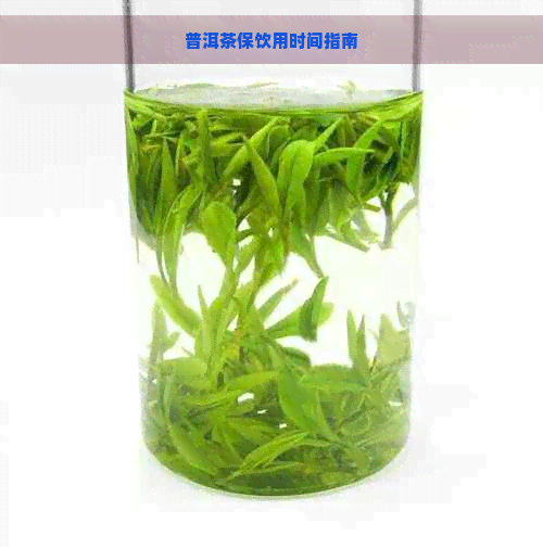 普洱茶保饮用时间指南