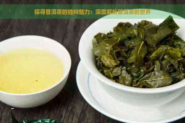 探寻普洱茶的独特魅力：深度解析普洱茶的世界