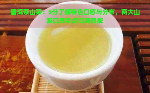 普洱茶山系：5分了解特色口感与分布，两大山系口感特点高清图解