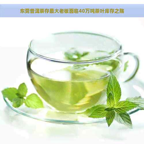 东莞普洱茶存更大老板面临40万吨茶叶库存之殇