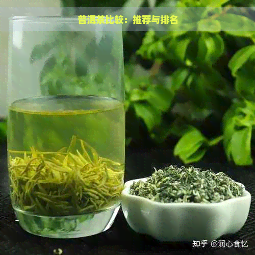 普洱茶比较：推荐与排名