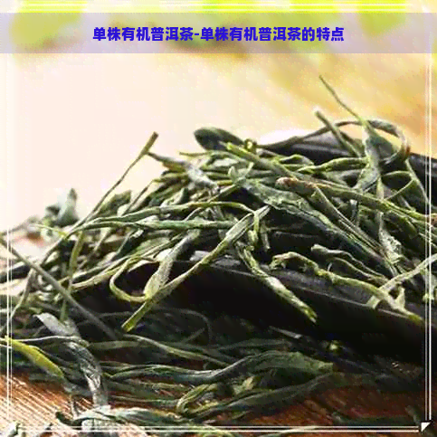 单株有机普洱茶-单株有机普洱茶的特点