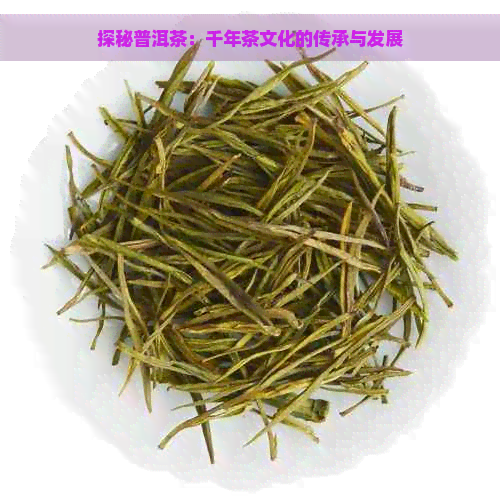 探秘普洱茶：千年茶文化的传承与发展