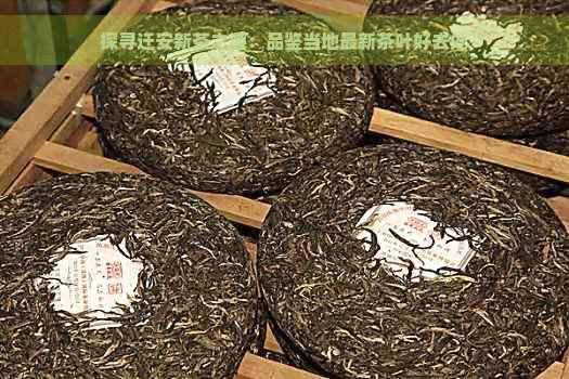 探寻迁安新茶之源：品鉴当地最新茶叶好去处