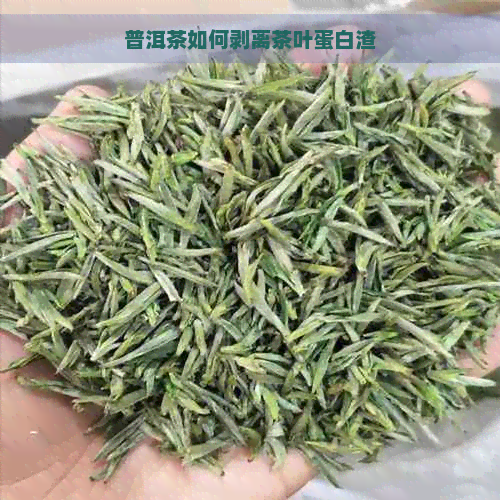 普洱茶如何剥离茶叶蛋白渣