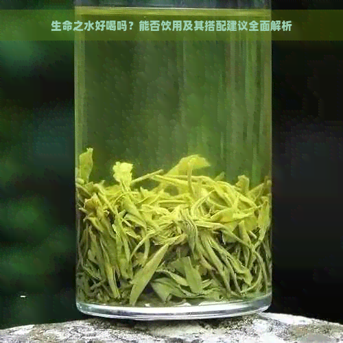 生命之水好喝吗？能否饮用及其搭配建议全面解析