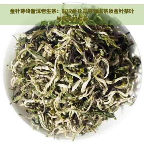 金针芽砖普洱老生茶：解读金针贡芽普洱茶及金针茶叶与普洱的关系