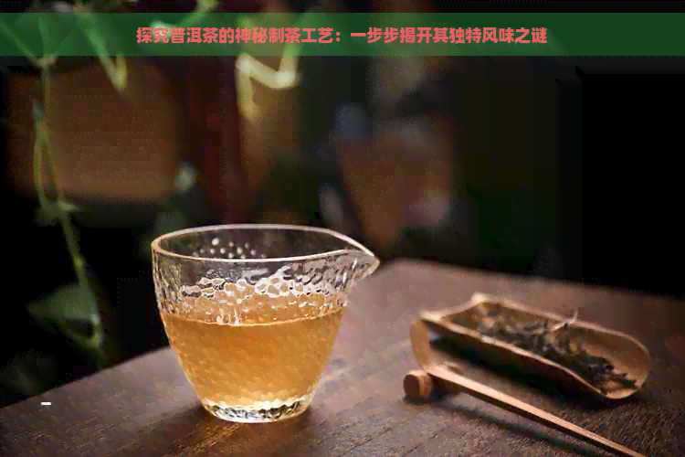 探究普洱茶的神秘制茶工艺：一步步揭开其独特风味之谜