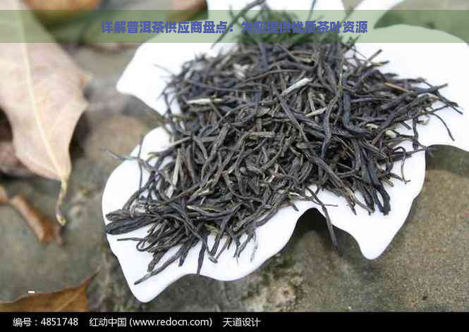 详解普洱茶供应商盘点：为您提供优质茶叶资源