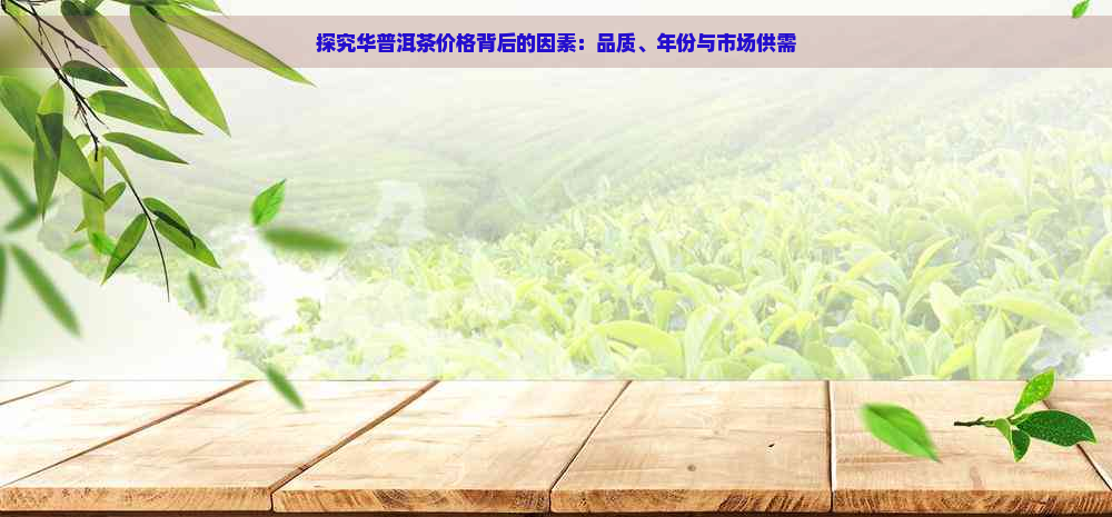 探究华普洱茶价格背后的因素：品质、年份与市场供需